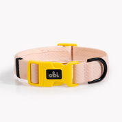 Collar para perro Impermeable - PINK