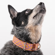 Collar para perro trenzado - CLOE SUN