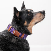 Collar para perro trenzado - CLOE VIOLETA