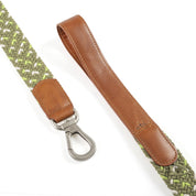 CORREA PARA PERRO TRENZADA - RUFO OLIVE