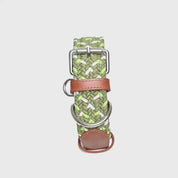 Collar para perro trenzado - CLOE OLIVE